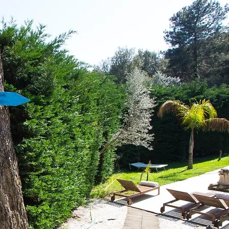 La Vasel Villa *
