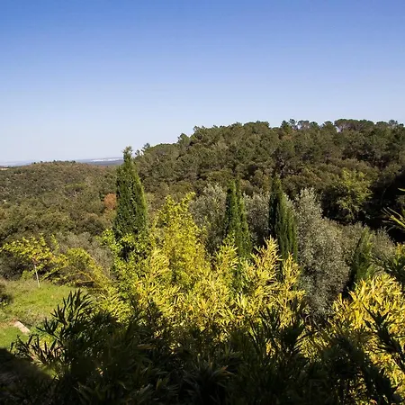 Villa La Vasel *